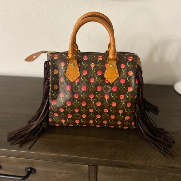 Louis Vuitton Handbags - Louis Vuitton LIMITED EDITION speedy 25